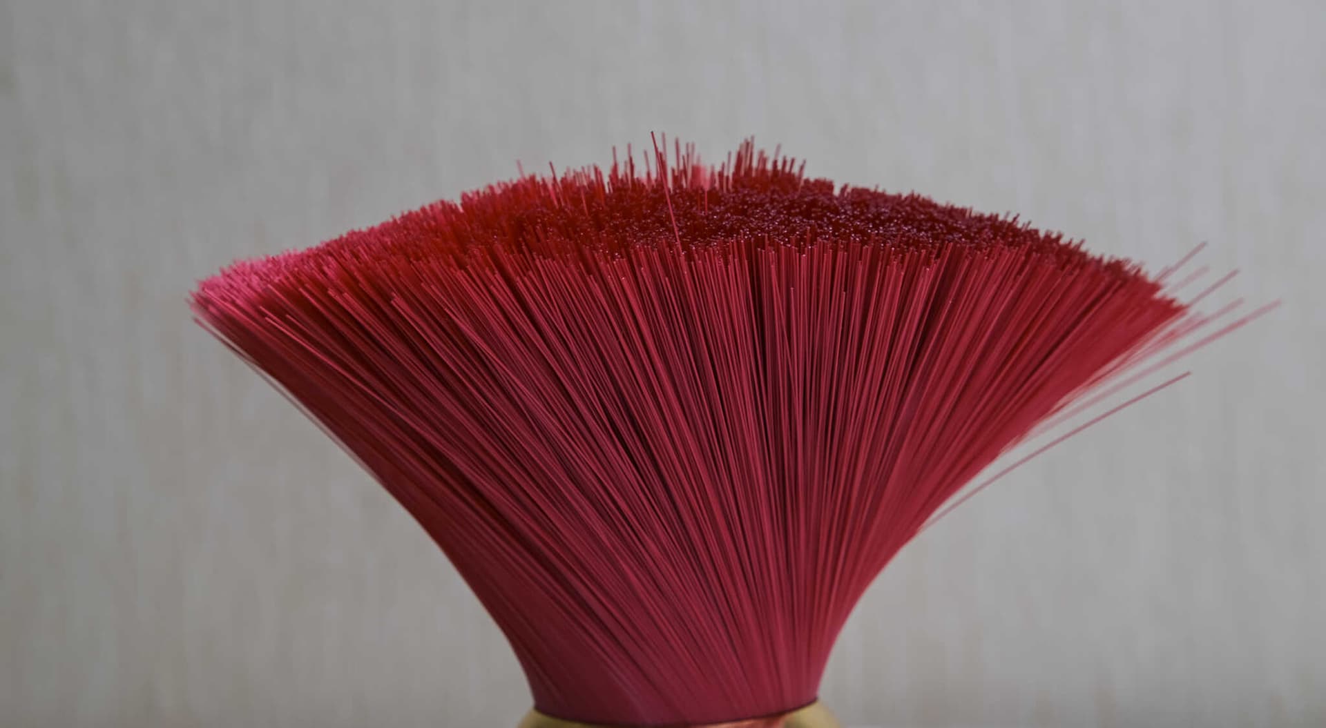 PET Red Bristles