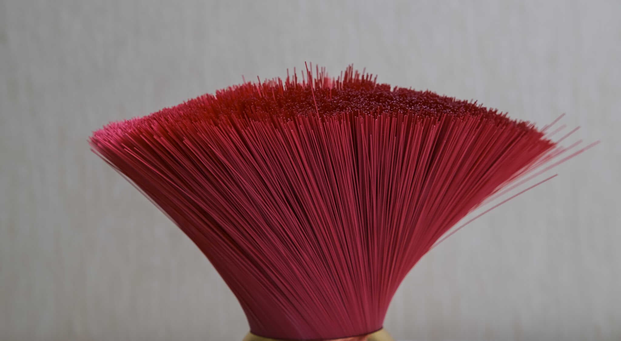 PET Red Bristles image 1
