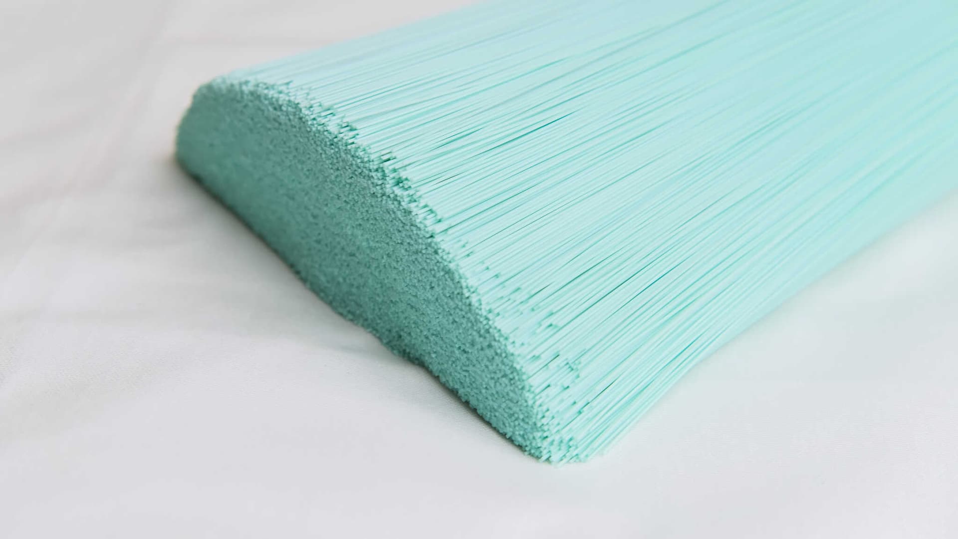 PET Turquoise Bristles